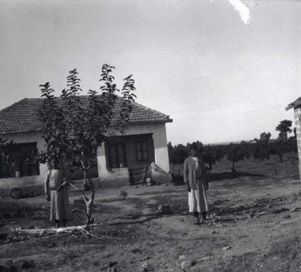 زرنوقة / زرنوقا | موسوعة القرى الفلسطينية