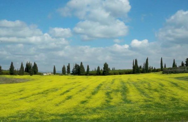 الخَيْمَة | موسوعة القرى الفلسطينية