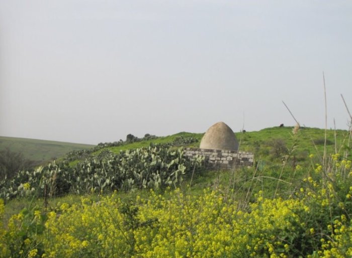 دَنَّة